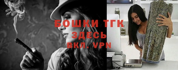 ГАЛЛЮЦИНОГЕННЫЕ ГРИБЫ Белокуриха