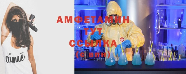 ГАЛЛЮЦИНОГЕННЫЕ ГРИБЫ Белокуриха