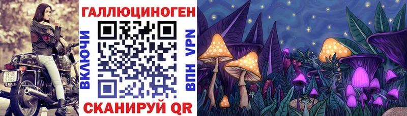 Галлюциногенные грибы прущие грибы где купить ссылка на мегу ССЫЛКА Дальнегорск