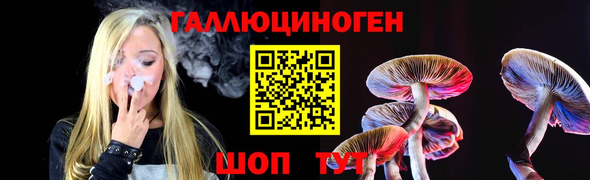 Дальнегорск  Галлюциногенные грибы Psilocybine cubensis  Вход с VPN 
